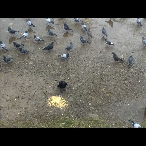 Jeweler - Picture 4 of 15